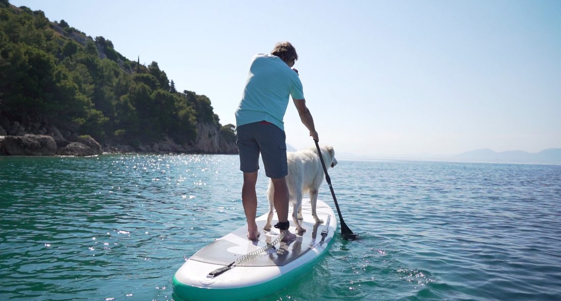 Easy and nice paddle board workout