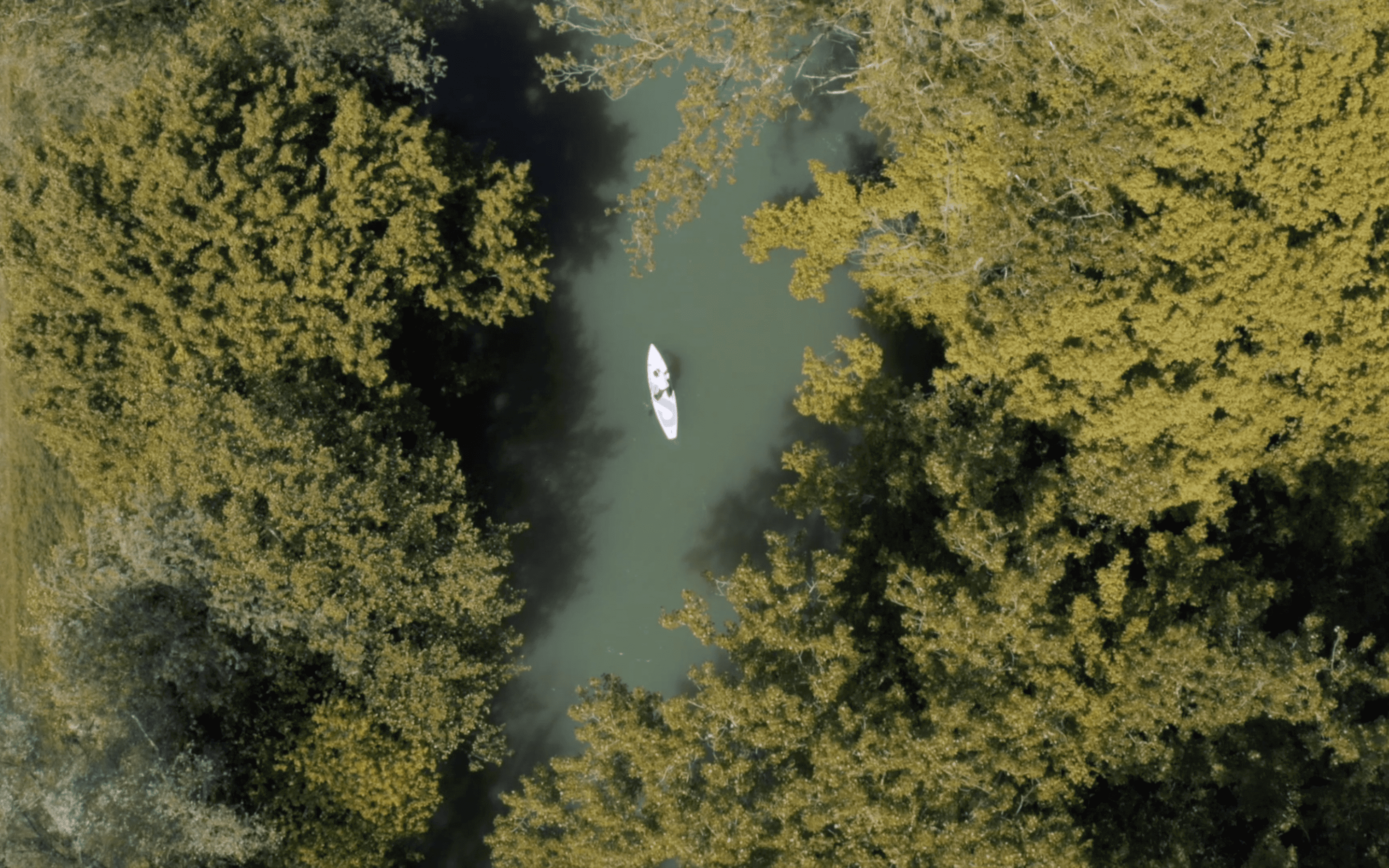 Exploring the Vipava River